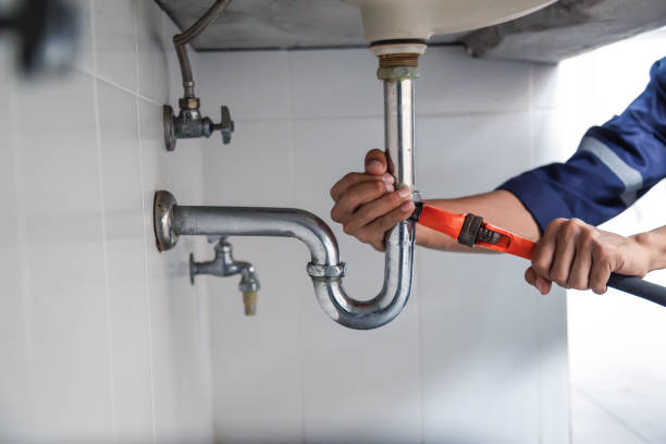 Best Plumbing Inspection Services  in Phoenixville, PA